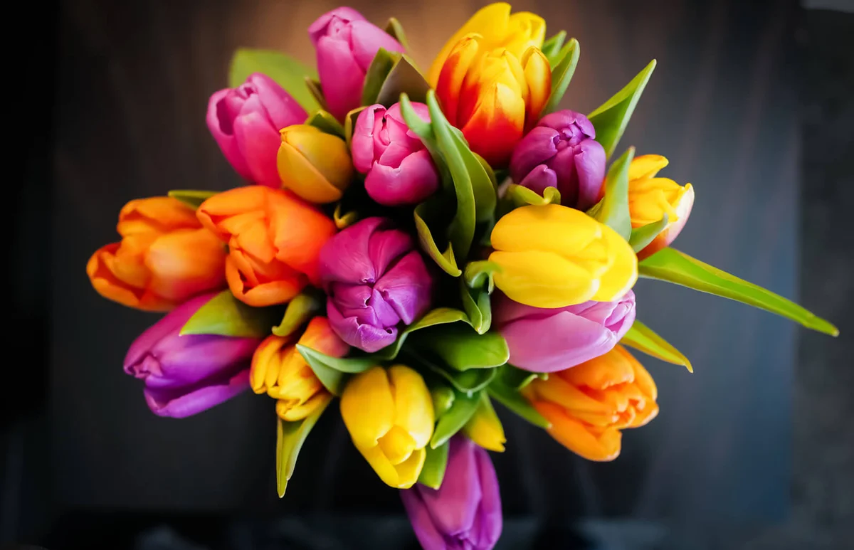 Multi Colored Flowers