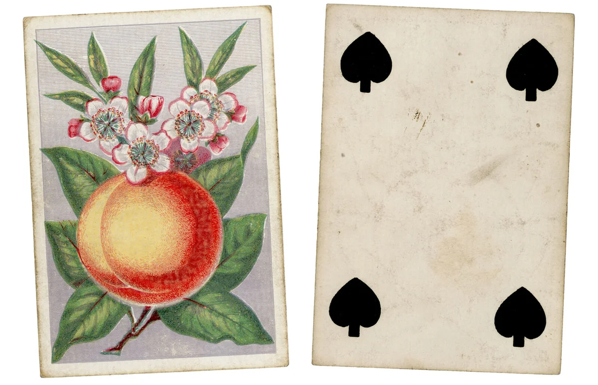 Victorian playing card with Four of Clubs