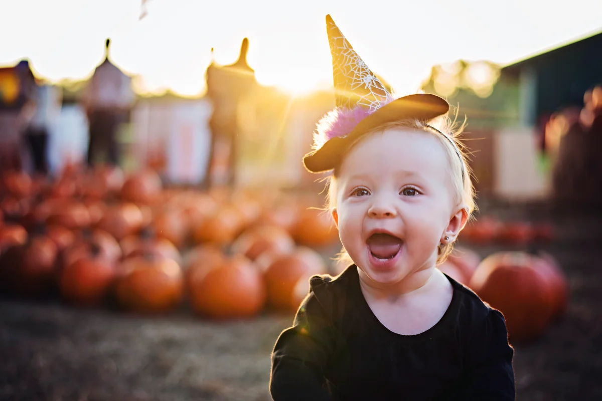 Baby girl crawls through pumpkin patch