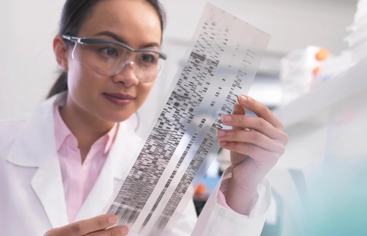 Scientist viewing a DNA profile experiment in a laboratory