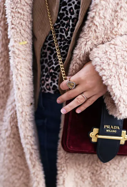 Bag detail from the Prada bag
