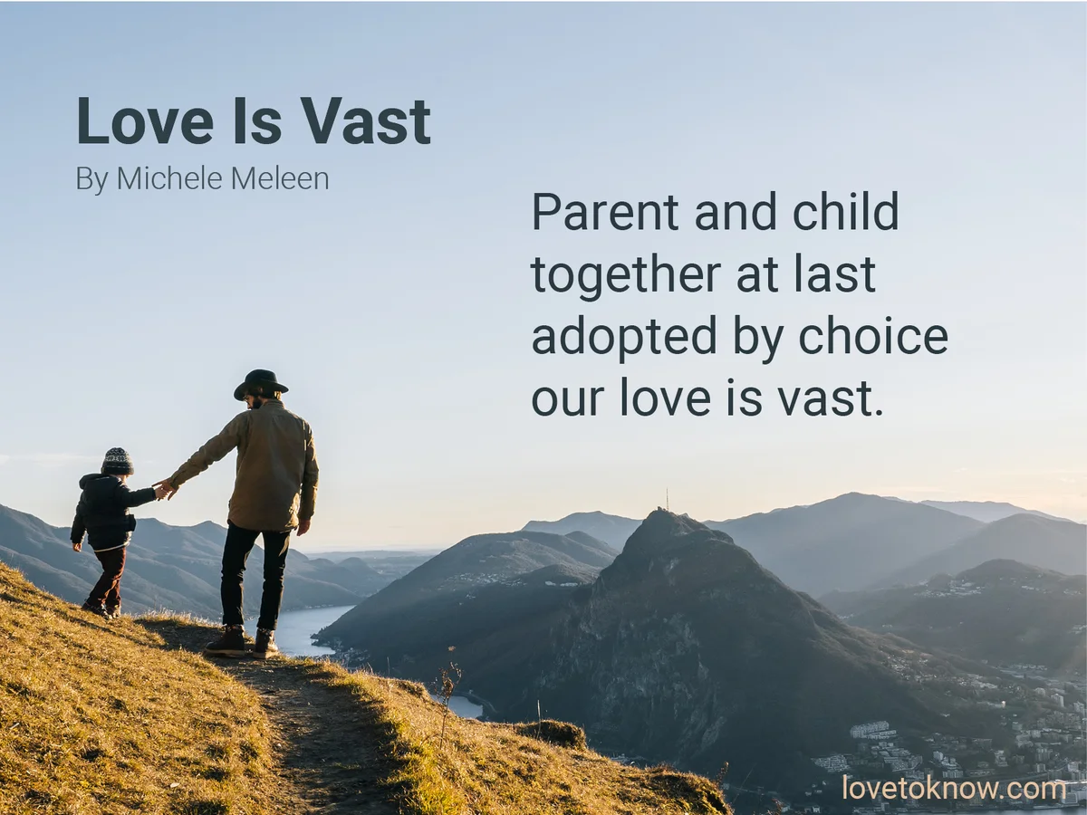 Adoption Poems: Love Is Vast