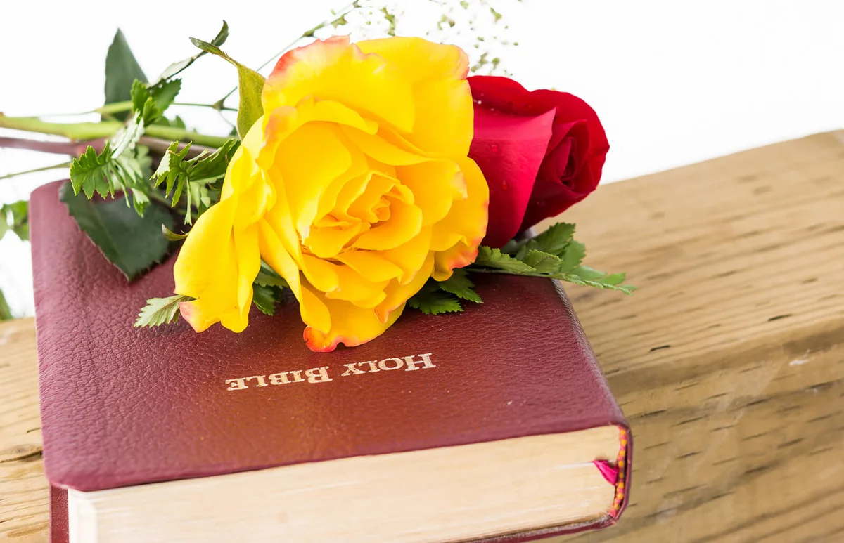 Flowers over a Bible