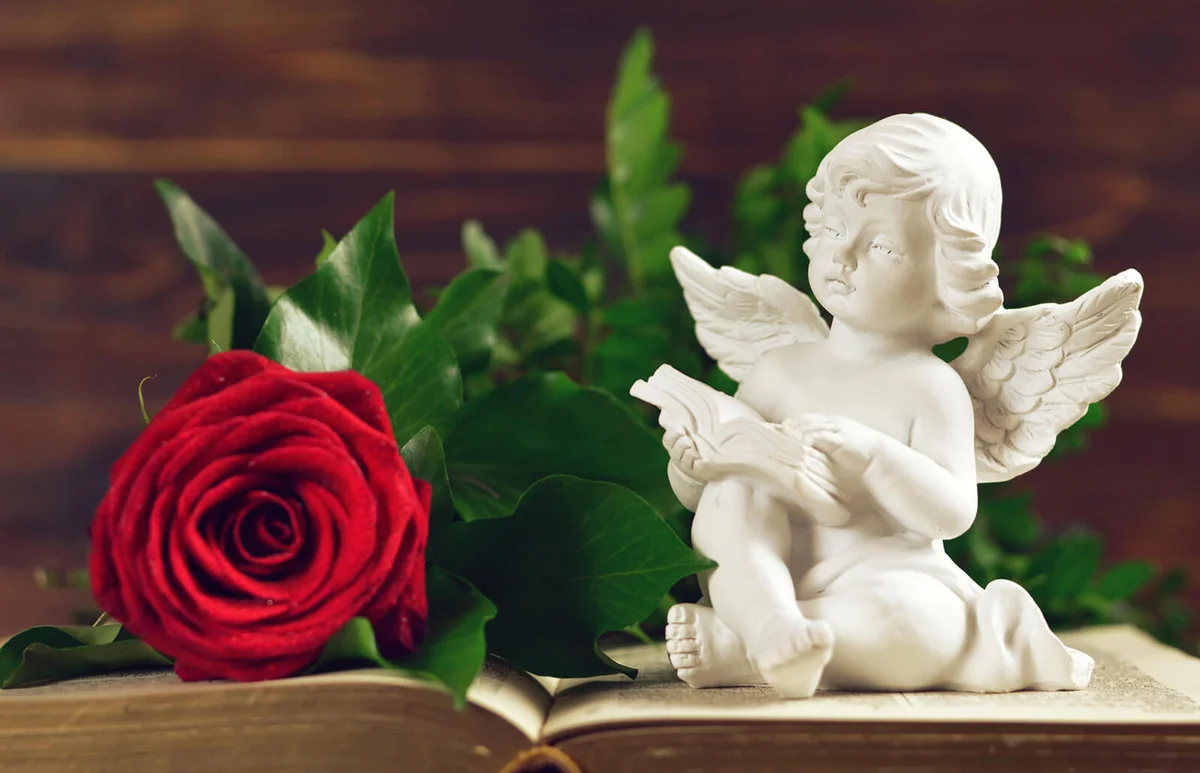 Angel guardian and red rose
