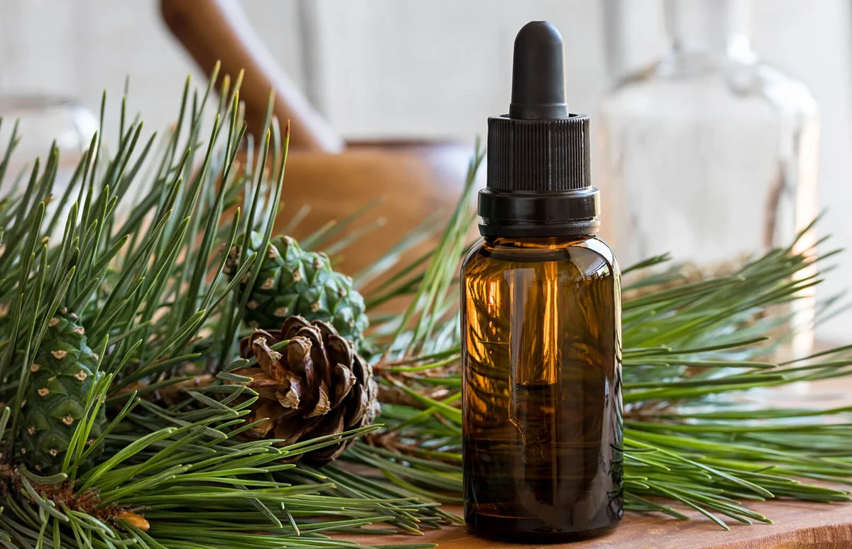 A bottle of pine essential oil