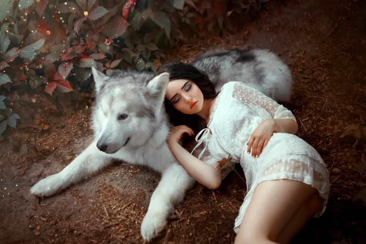 Girl with dark hair is lying on gray-white forest wolf