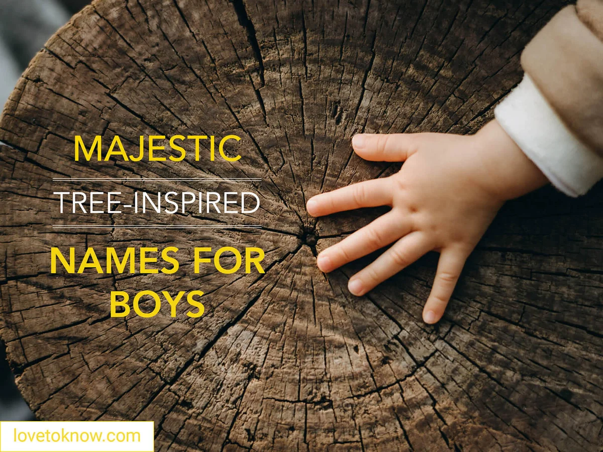 Majestic tree-inspired names for boys