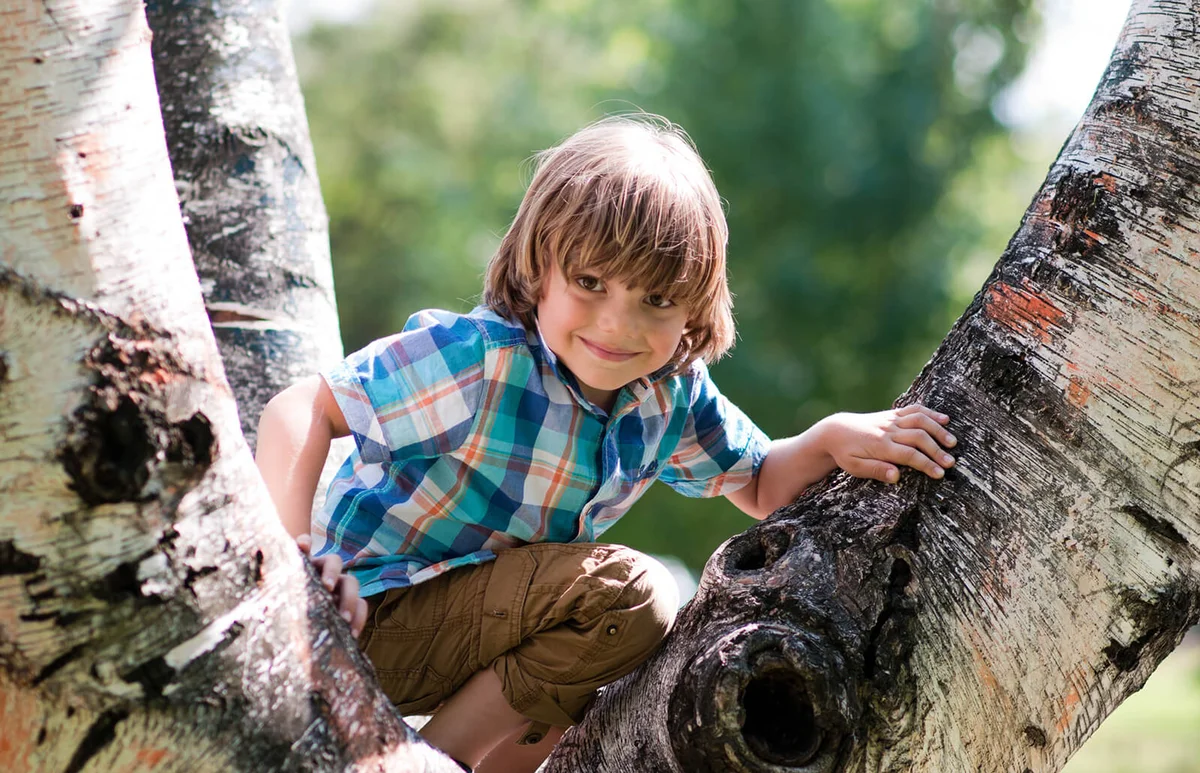 little boy climbs on a tree in the park
