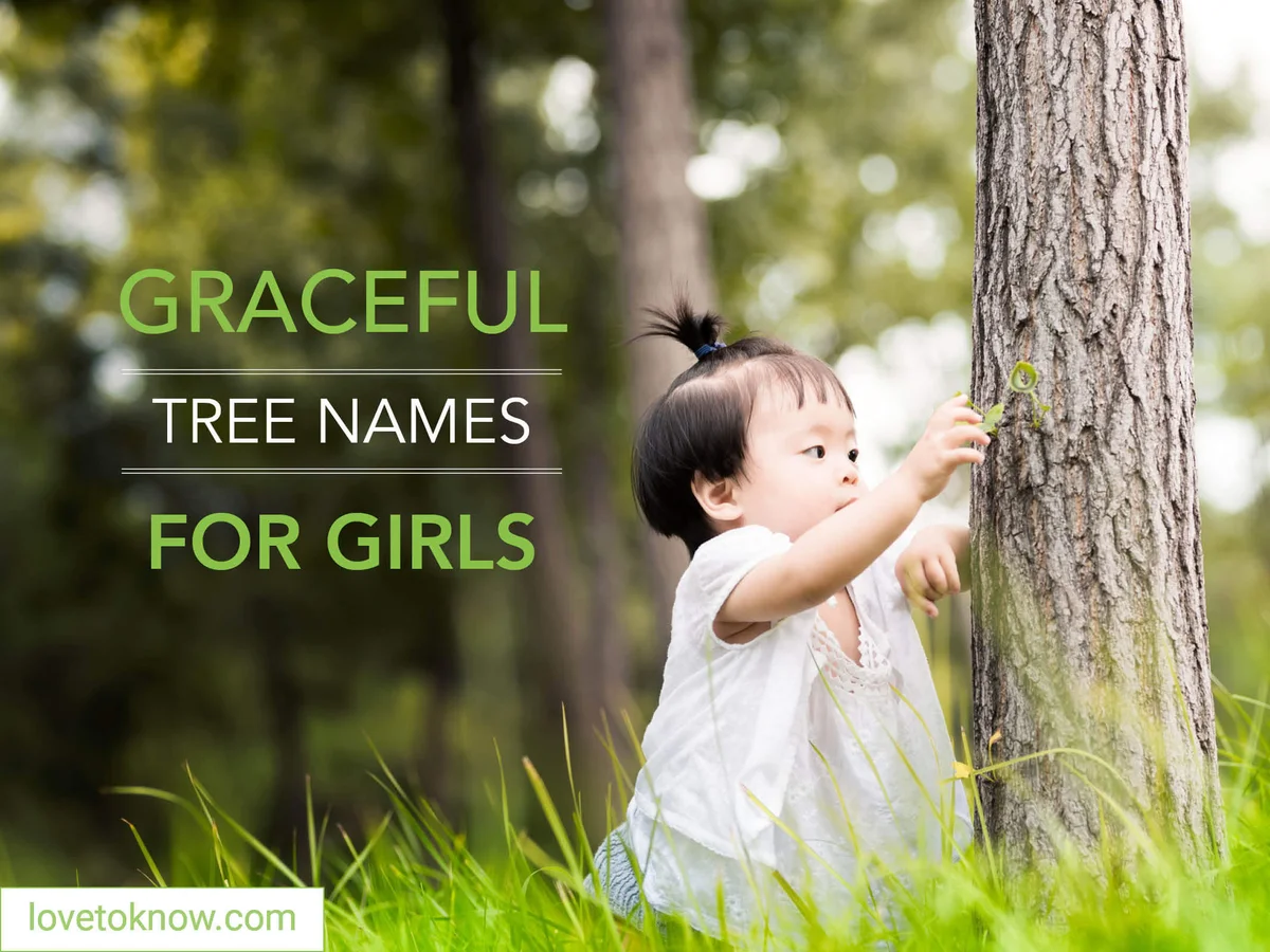 Graceful tree names for girls