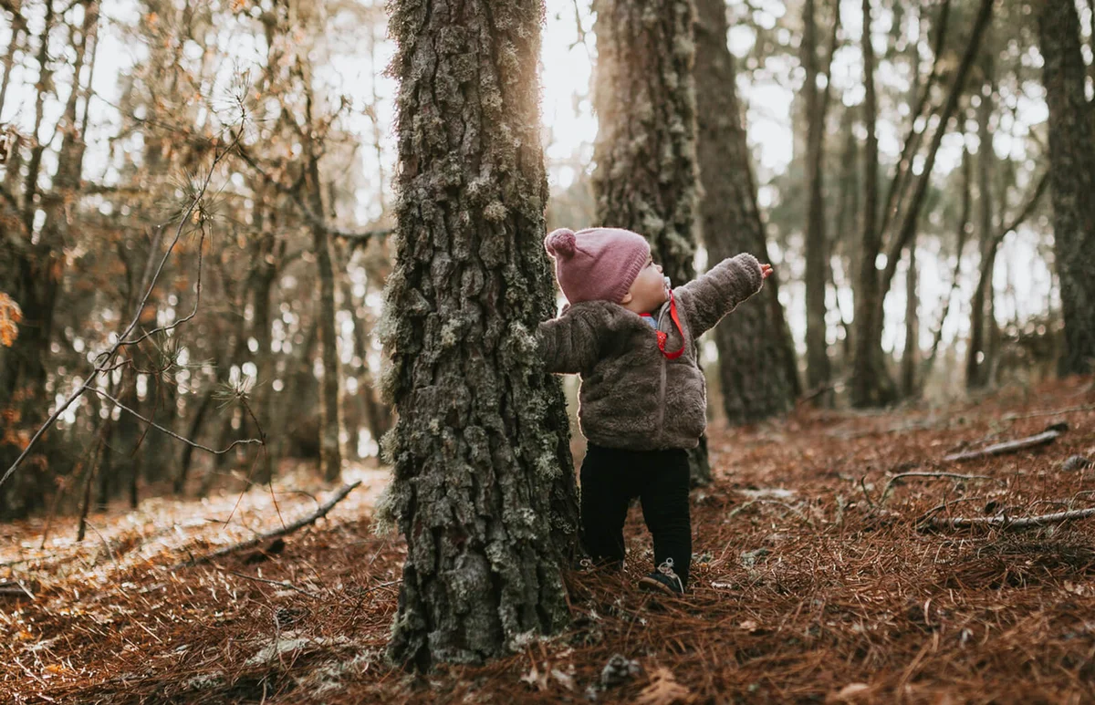 Baby girl standing in forest during sunset