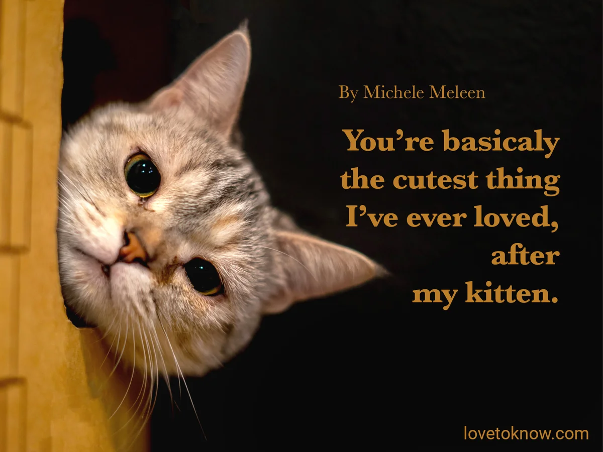 Cute and Funny Love Quotes