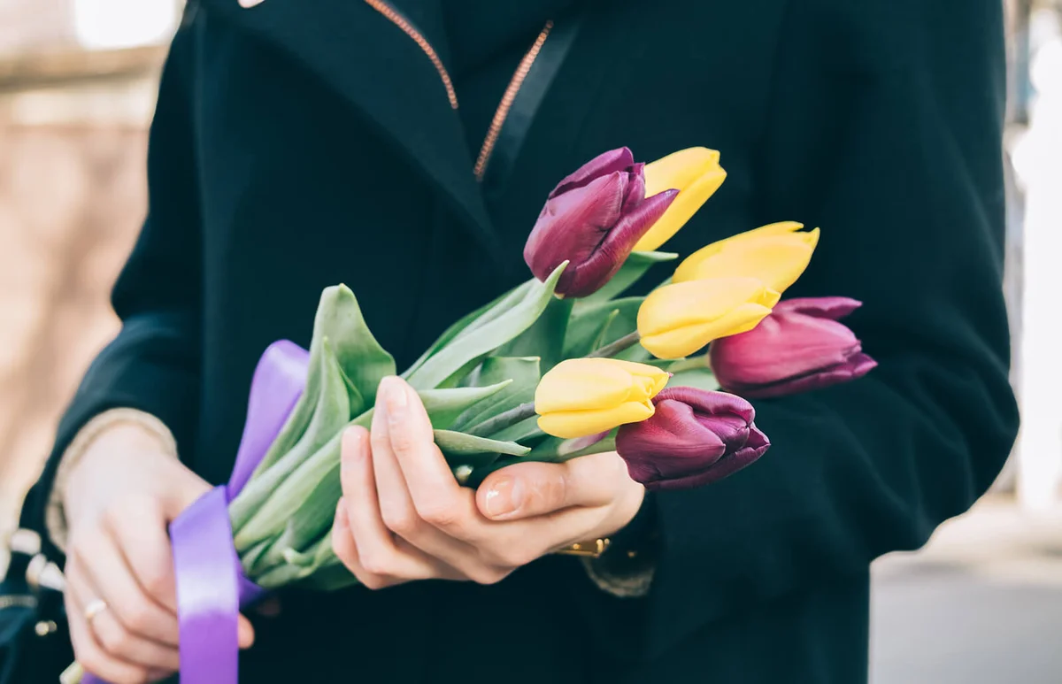 Bouquet of tulips in female hands