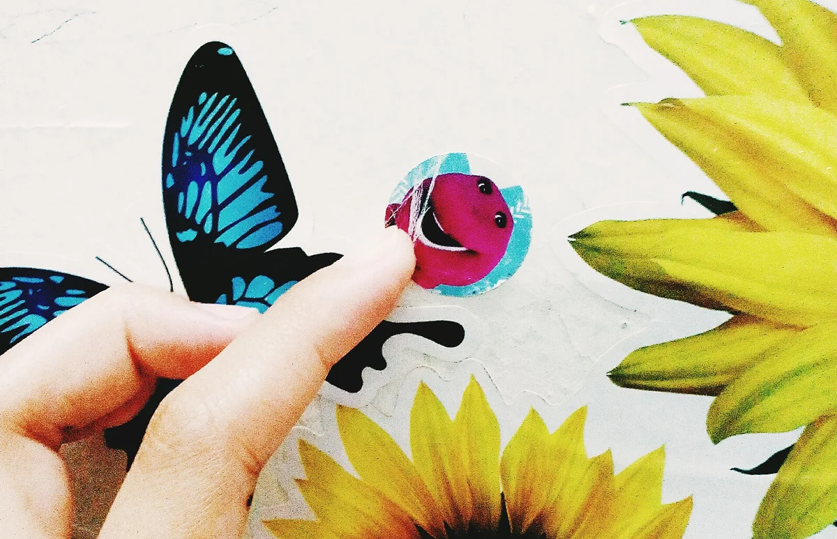 Person touching stickers stuck on wall