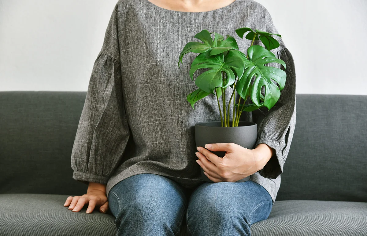 Woman sitting on sofa with green tropical tree