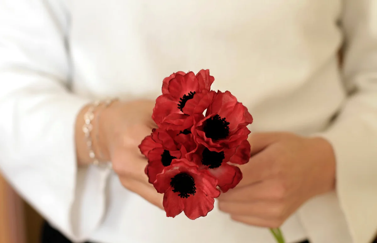 Hands holding red poppy flowers
