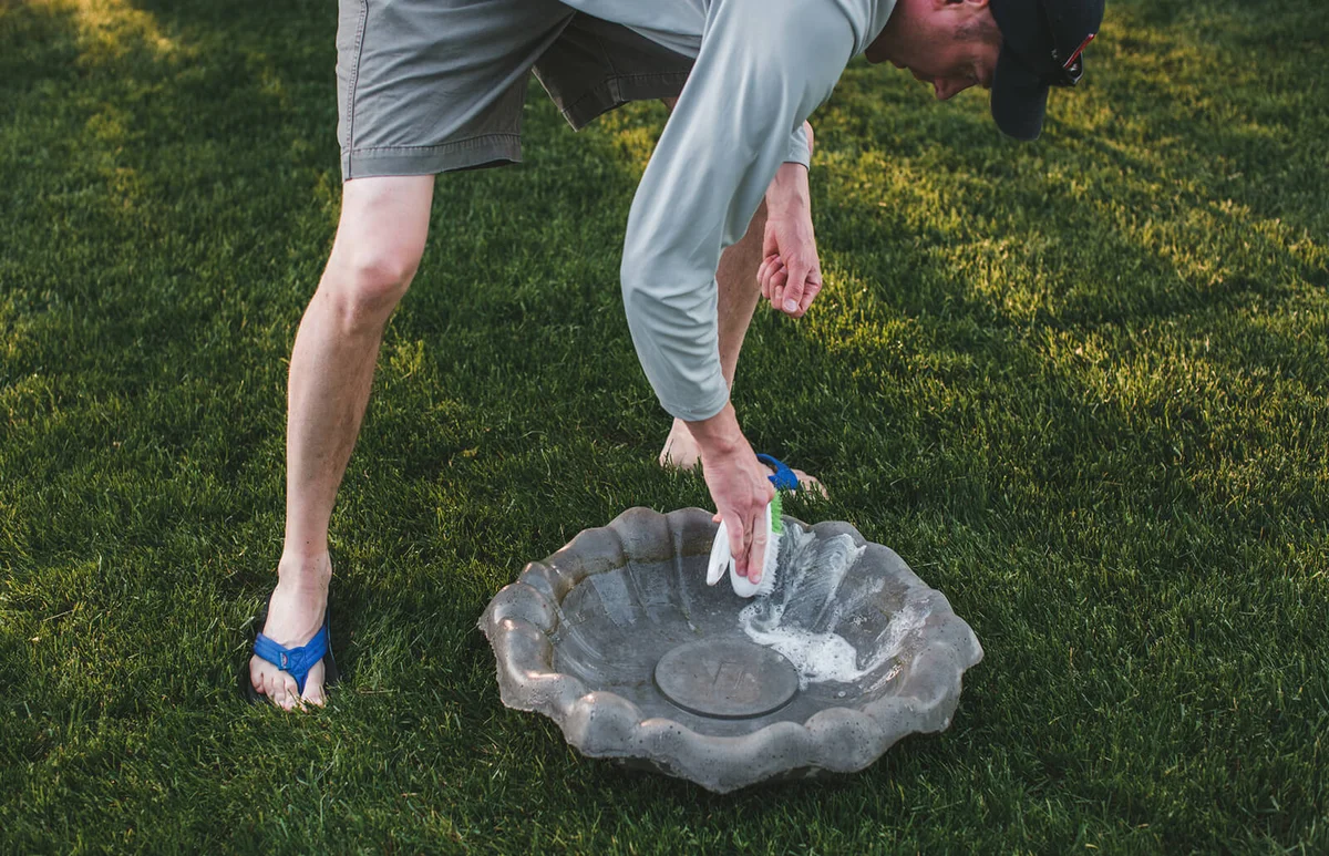 Man uses a scrub brush to scrub and clean out a bird bath