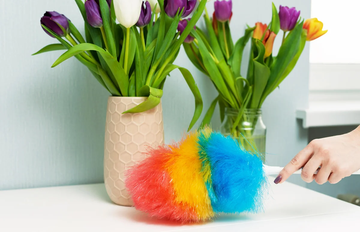 cleaning dust from artificial plants