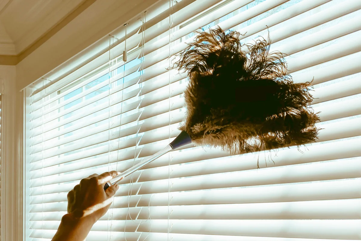 Woman Cleans Blinds with Feather Duster