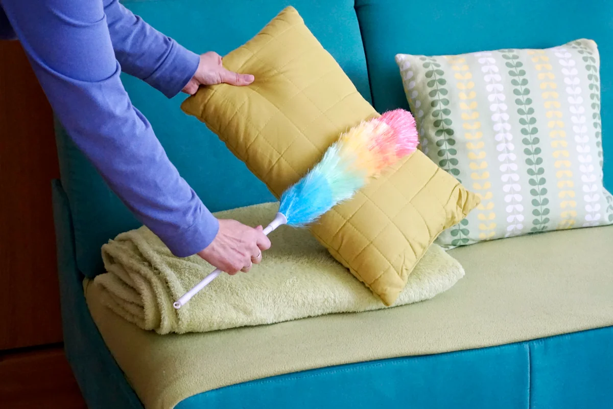 Woman hands with dust cleaner