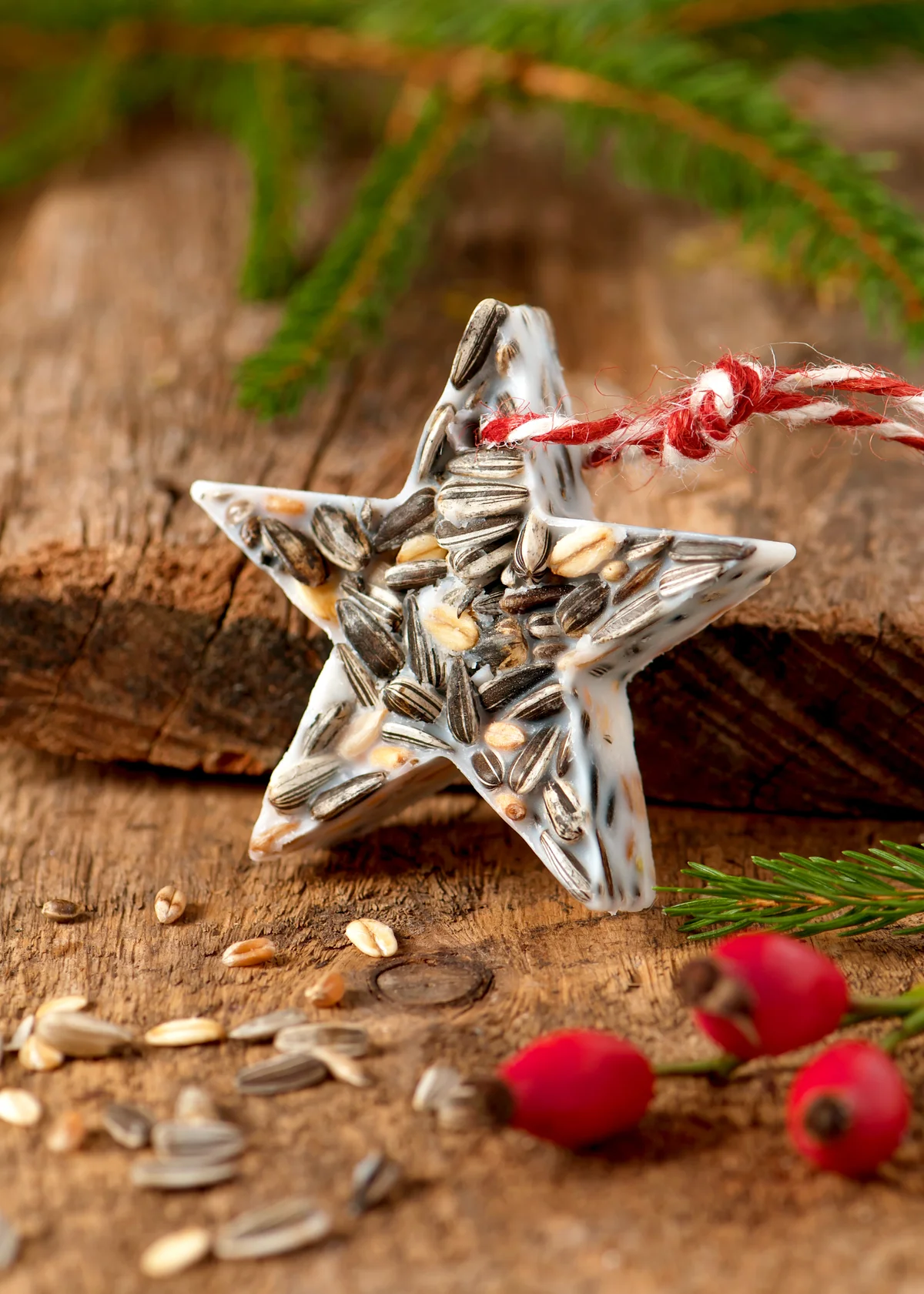 Birdseed Christmas ornament
