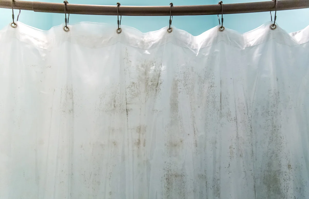 Dark brown mildew mold on plastic interior shower curtain in a light aqua bathroom