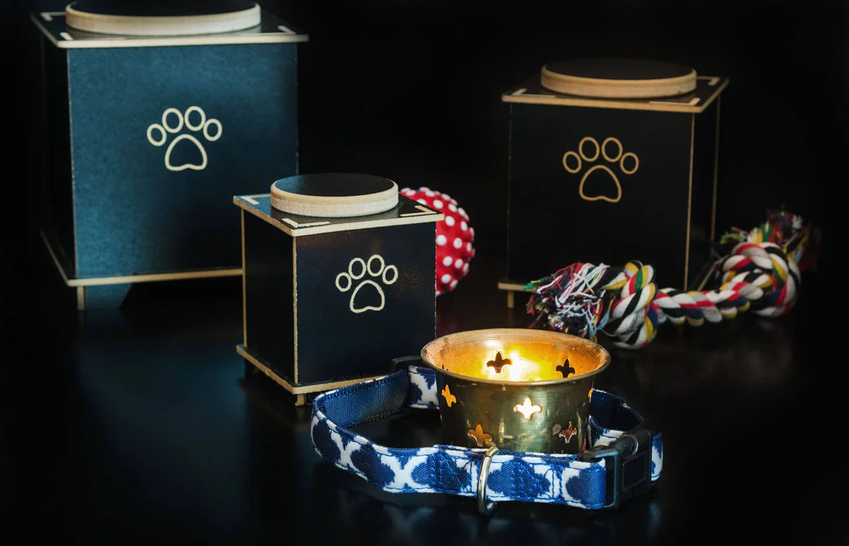 Cremation urn for pets