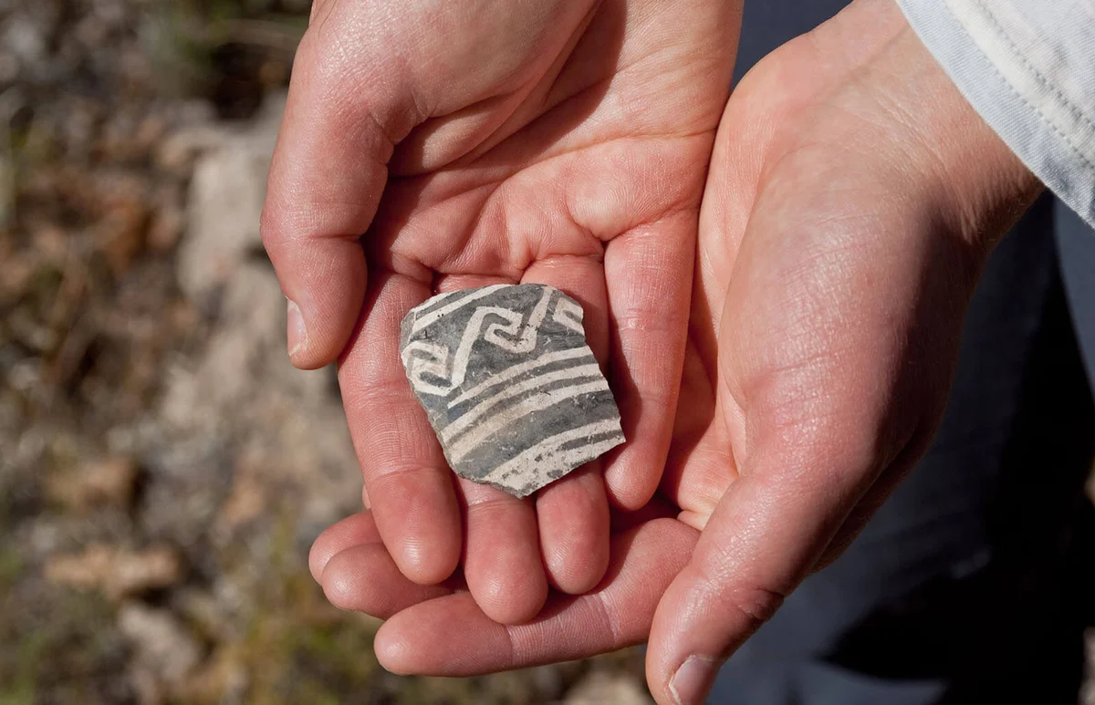 Ancient Pottery Shard