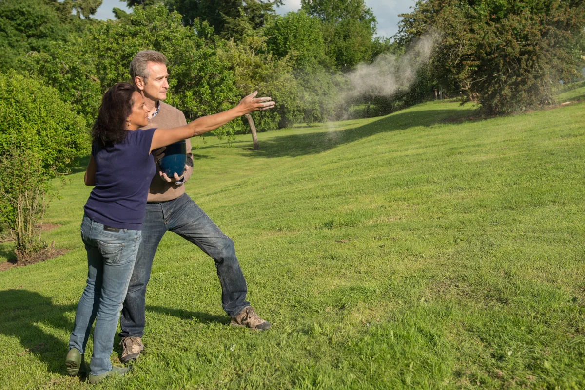 Couple scattering ashes