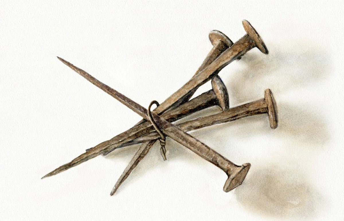 A bunch of old nails
