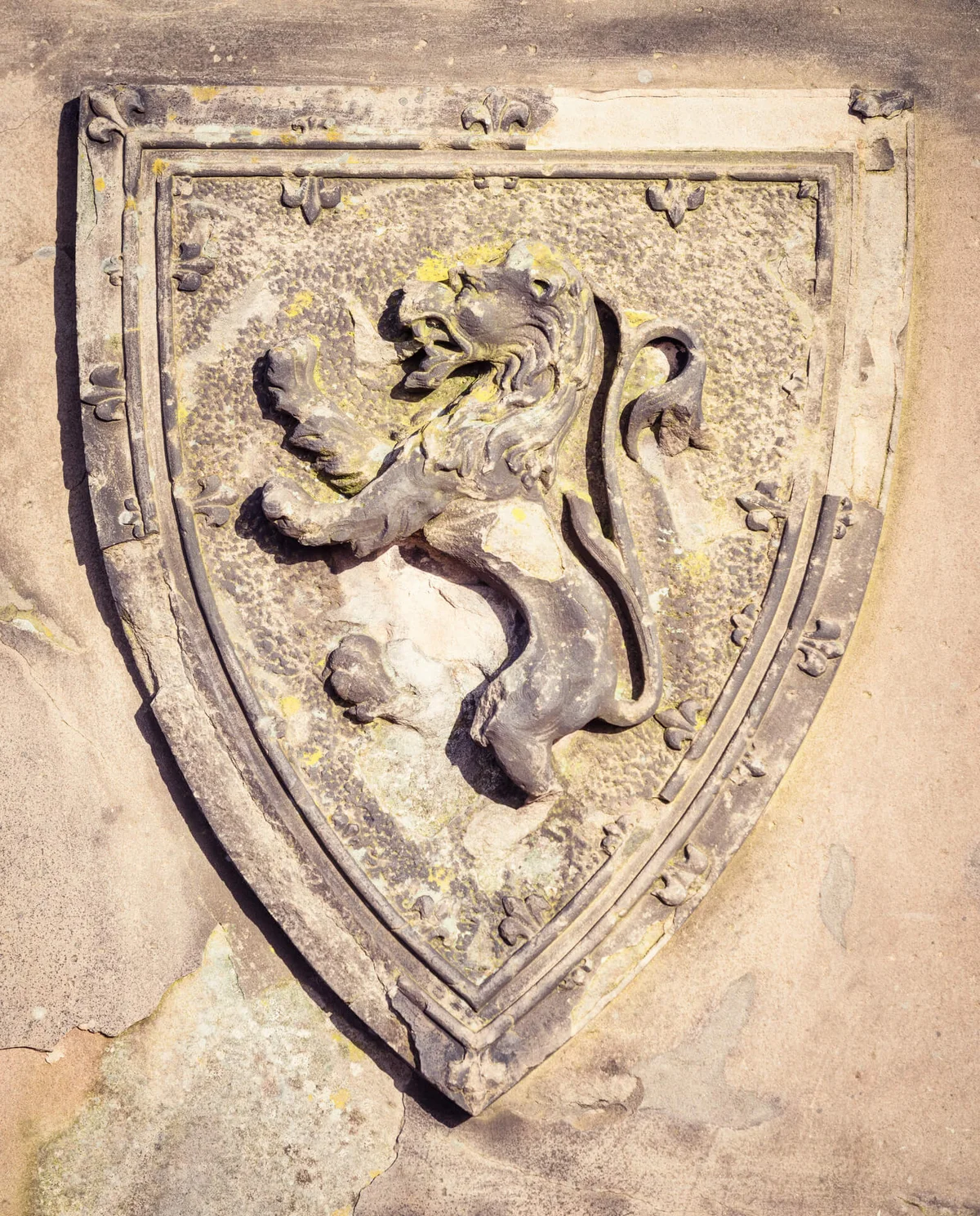 A weathered Lion Rampart coat of arms