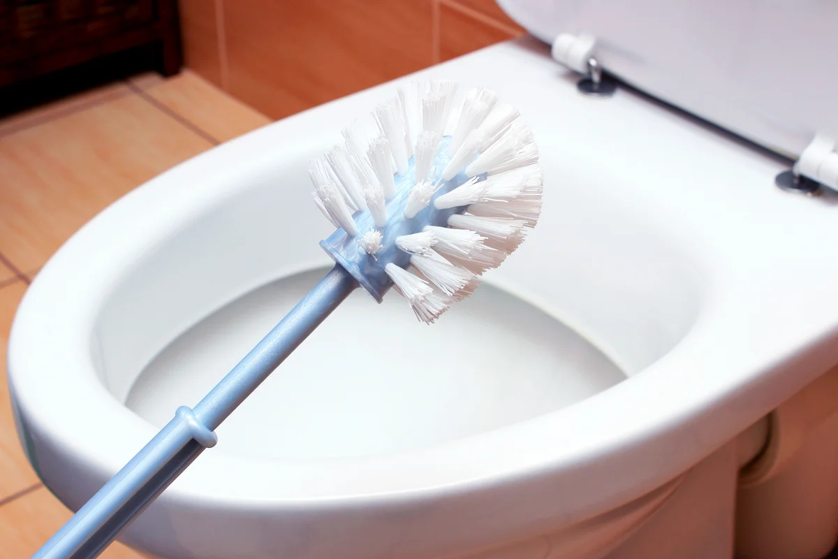 Brush for cleaning and toilet bowl