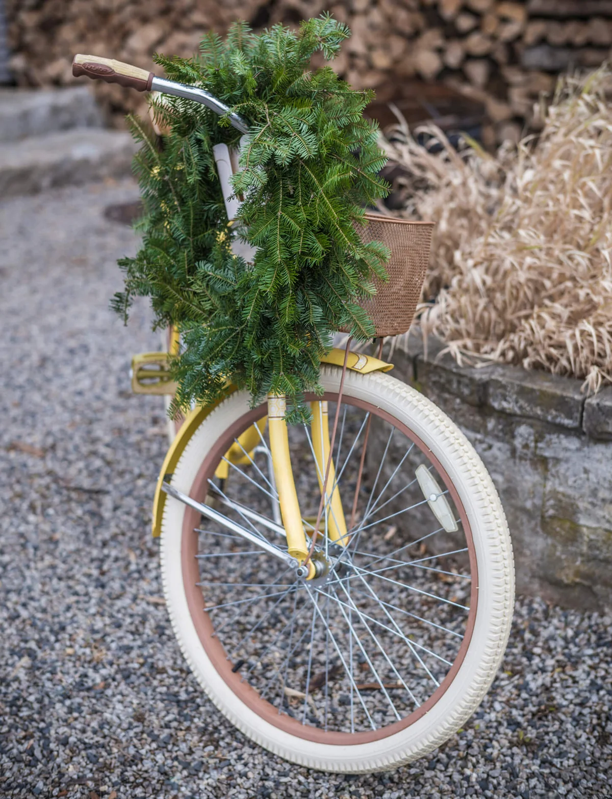 antique bicycle with Christmas wreath