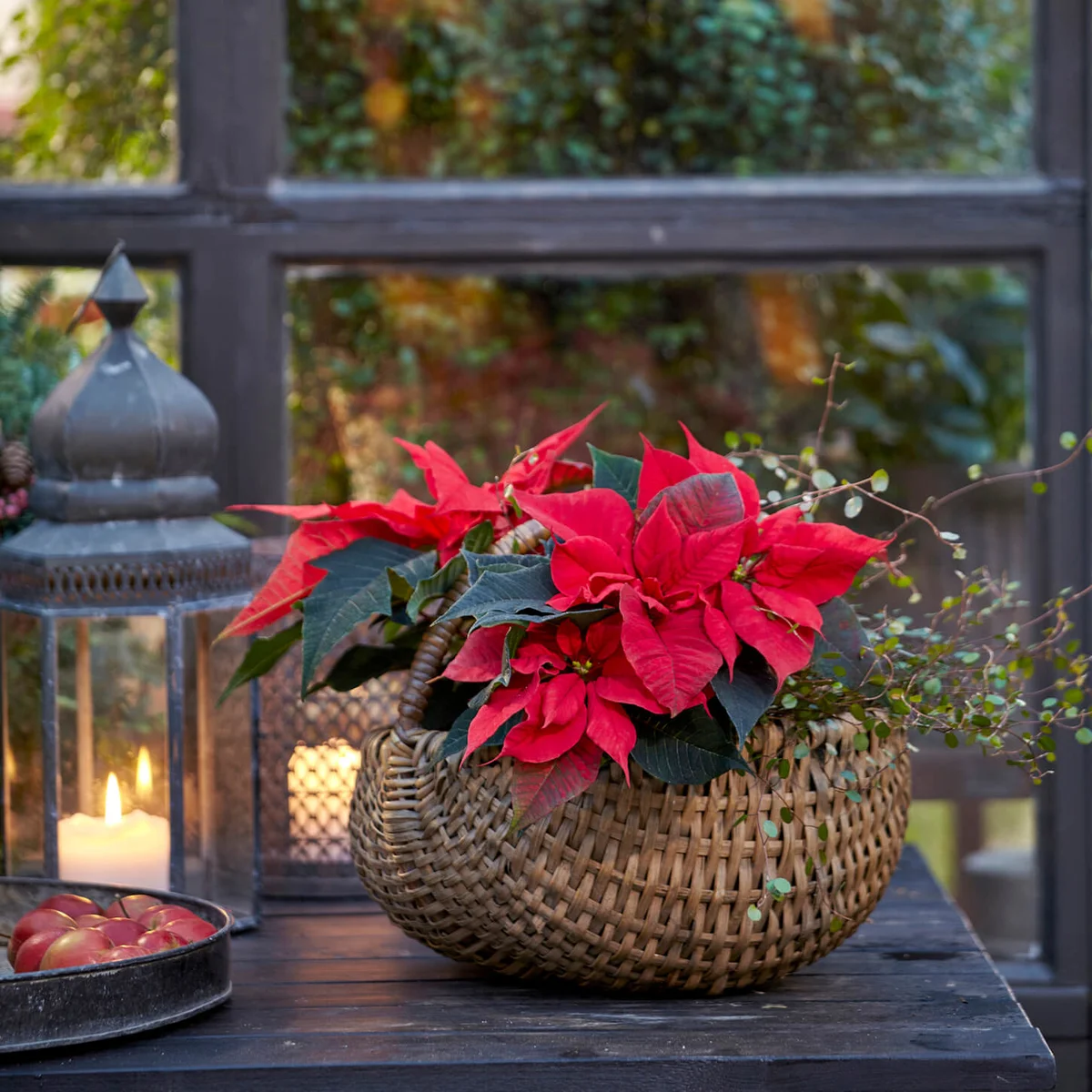 Creative flower decorations