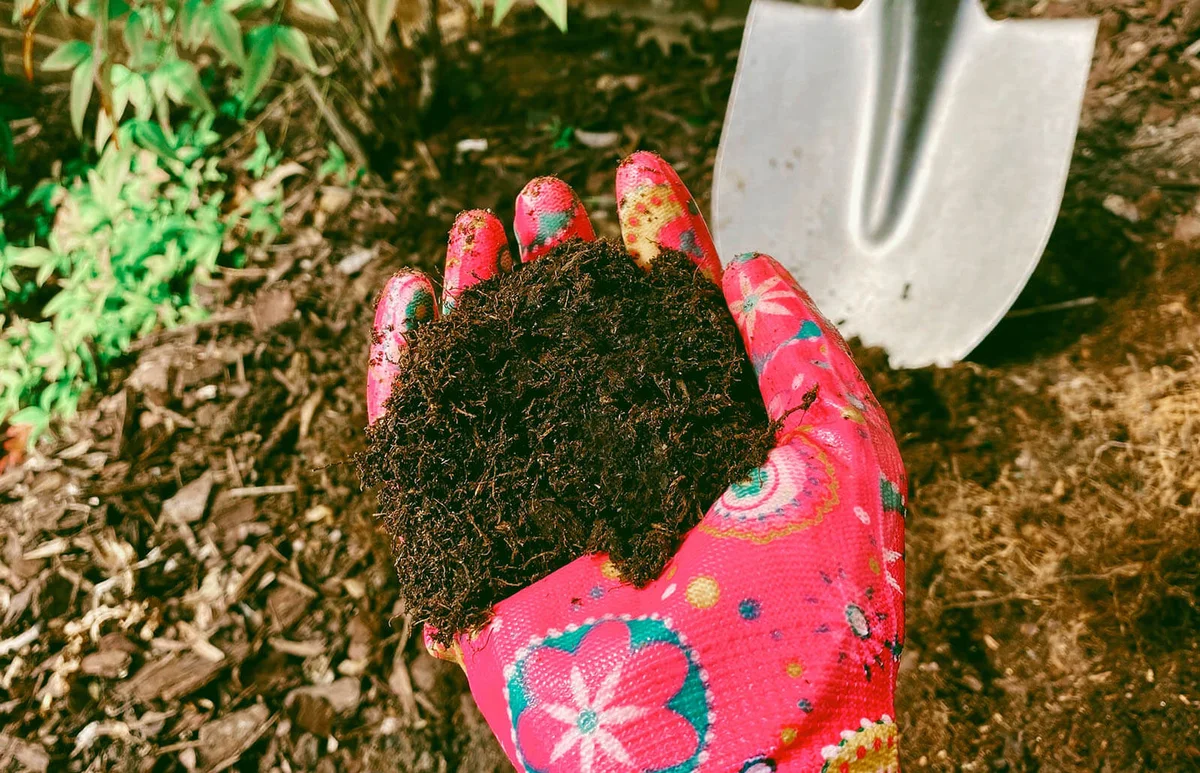 woman's gloved hand in garden holding soil enriched with homemade compost