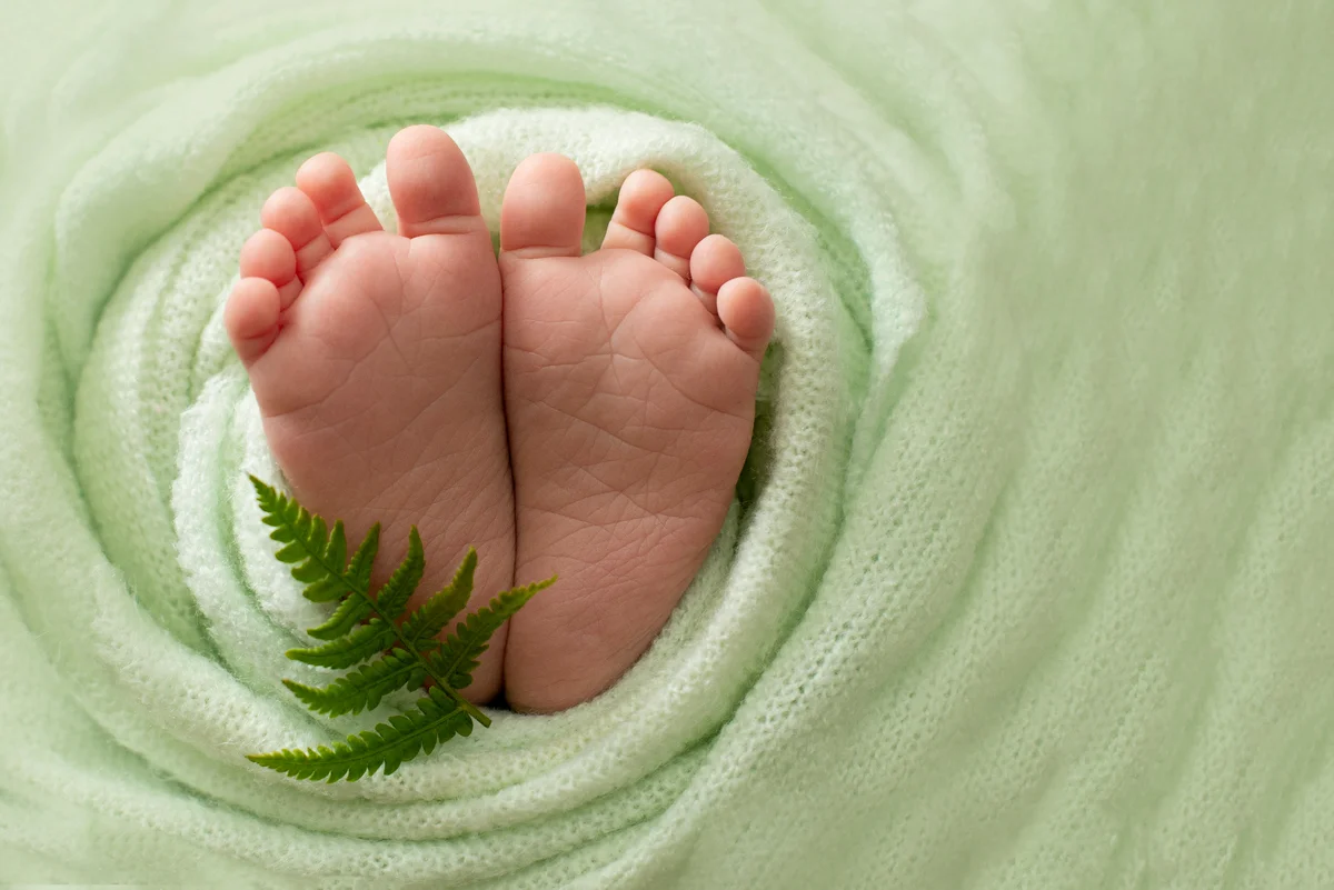 Foot of the newborn baby with a fern leaf