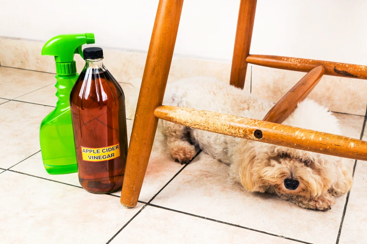 Apple cider vinegar deterring pets from chewing on furnitures
