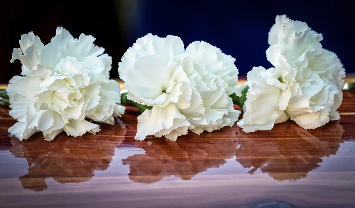 White Carnations sit on a cedar coffin