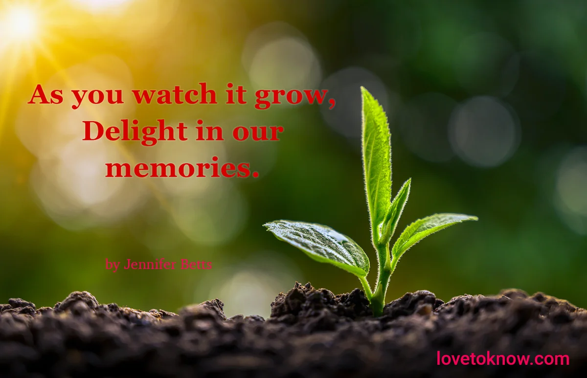 Memorial Tree Poems - Tree of Life
