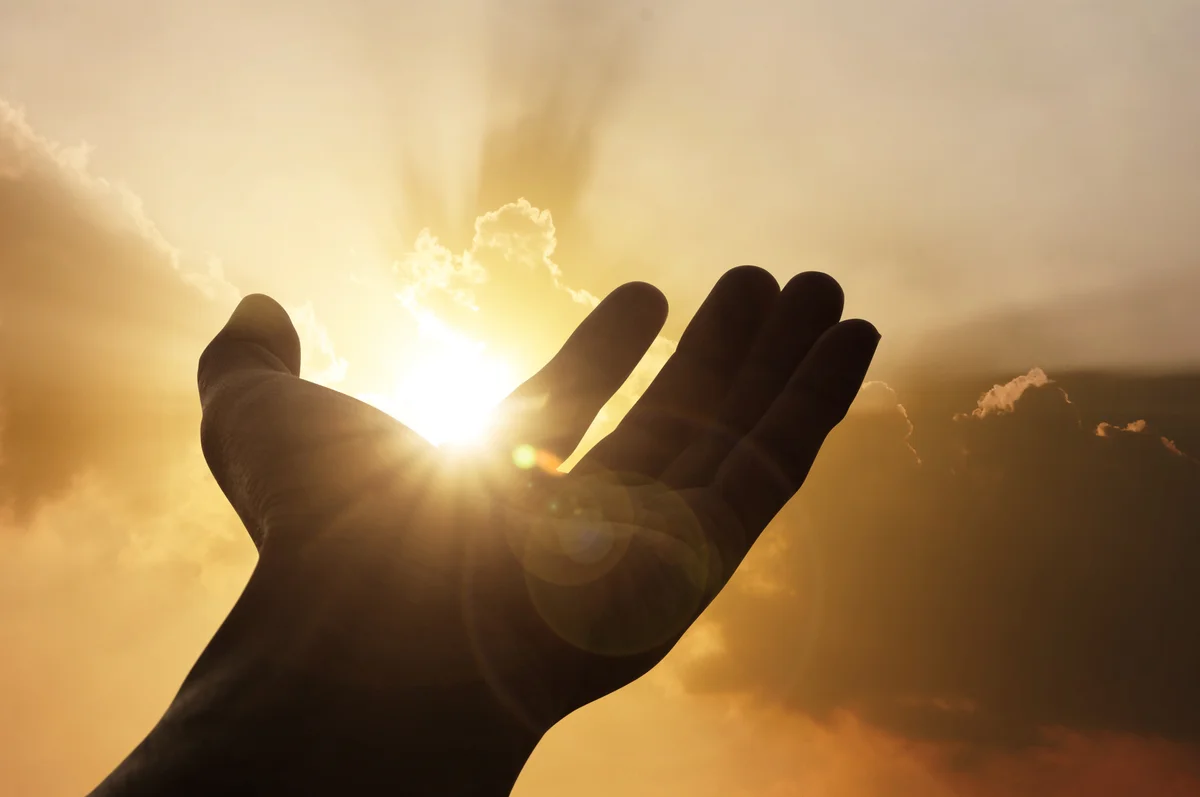 Hand raised to sunlight
