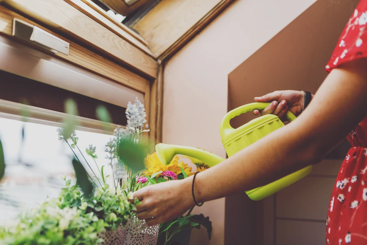 Woman using a watering can for plants