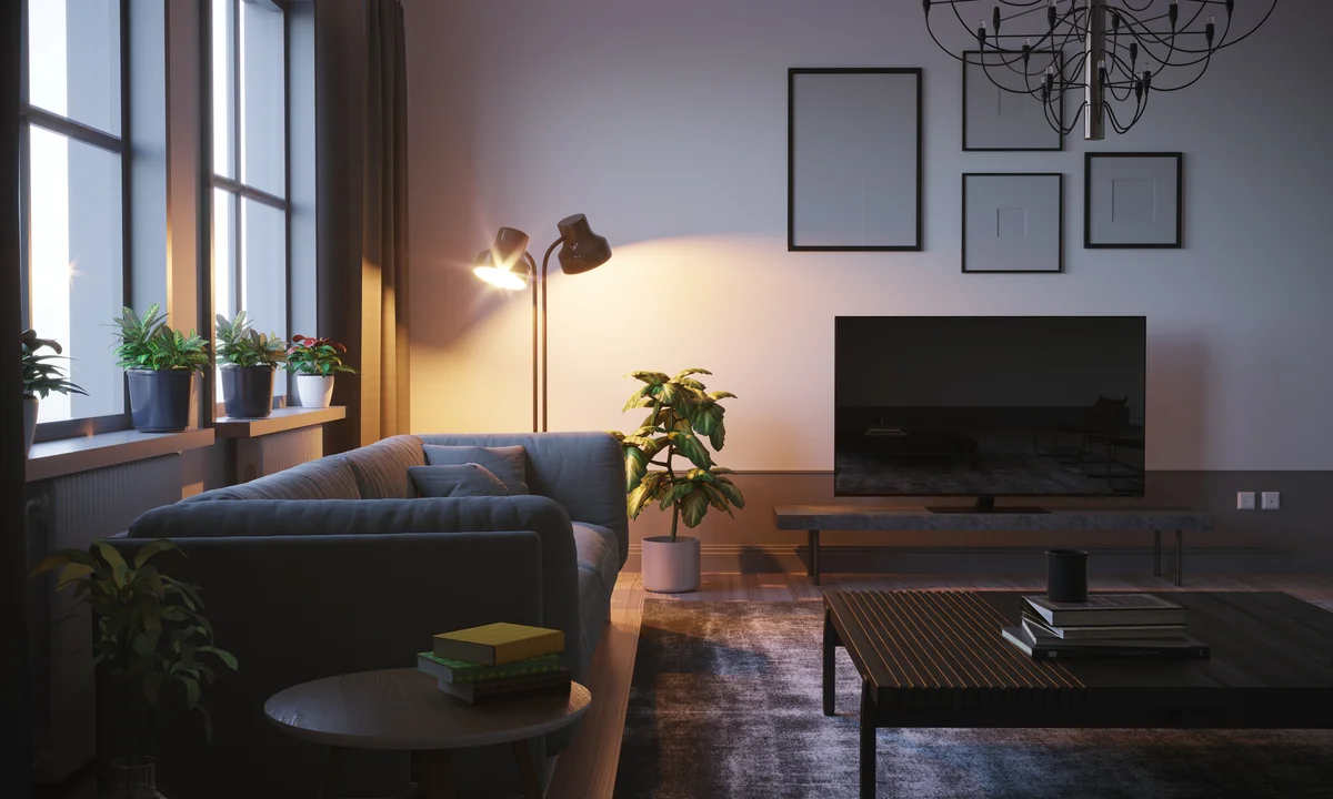Plants on windowsill behind couch