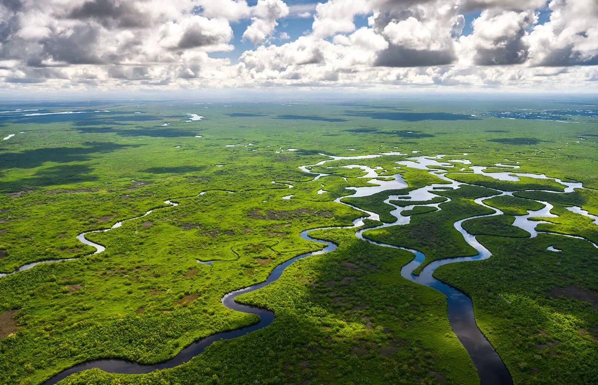 Aerial view of Everglades National Park in Florida, USA