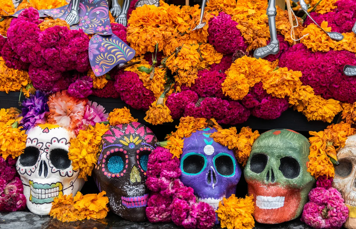 Aztec Marigold flowers - or cempasúchil - and skulls in Day of the Dead celebrations altar decorations