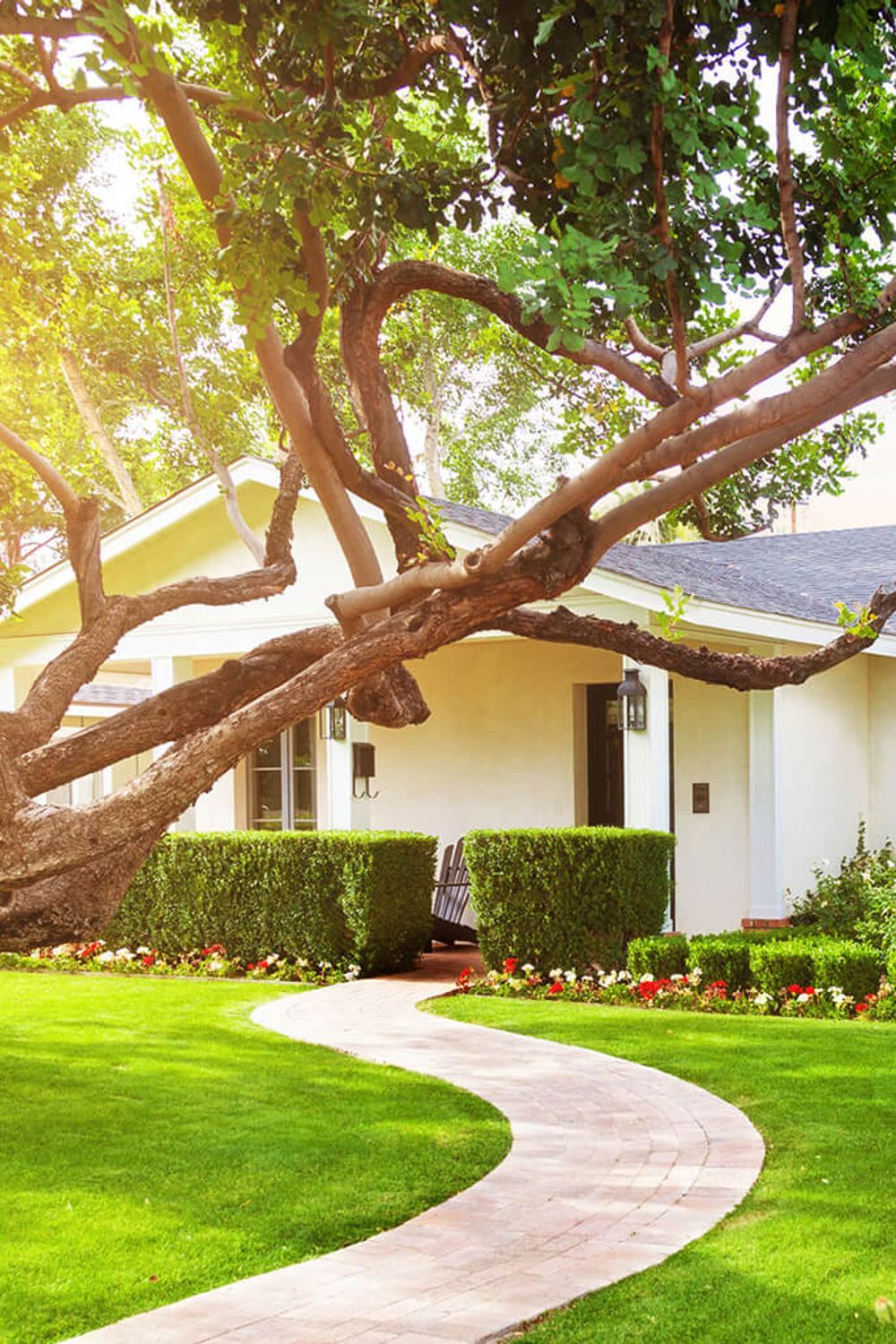 What a Tree in Front of a House Means in Feng Shui