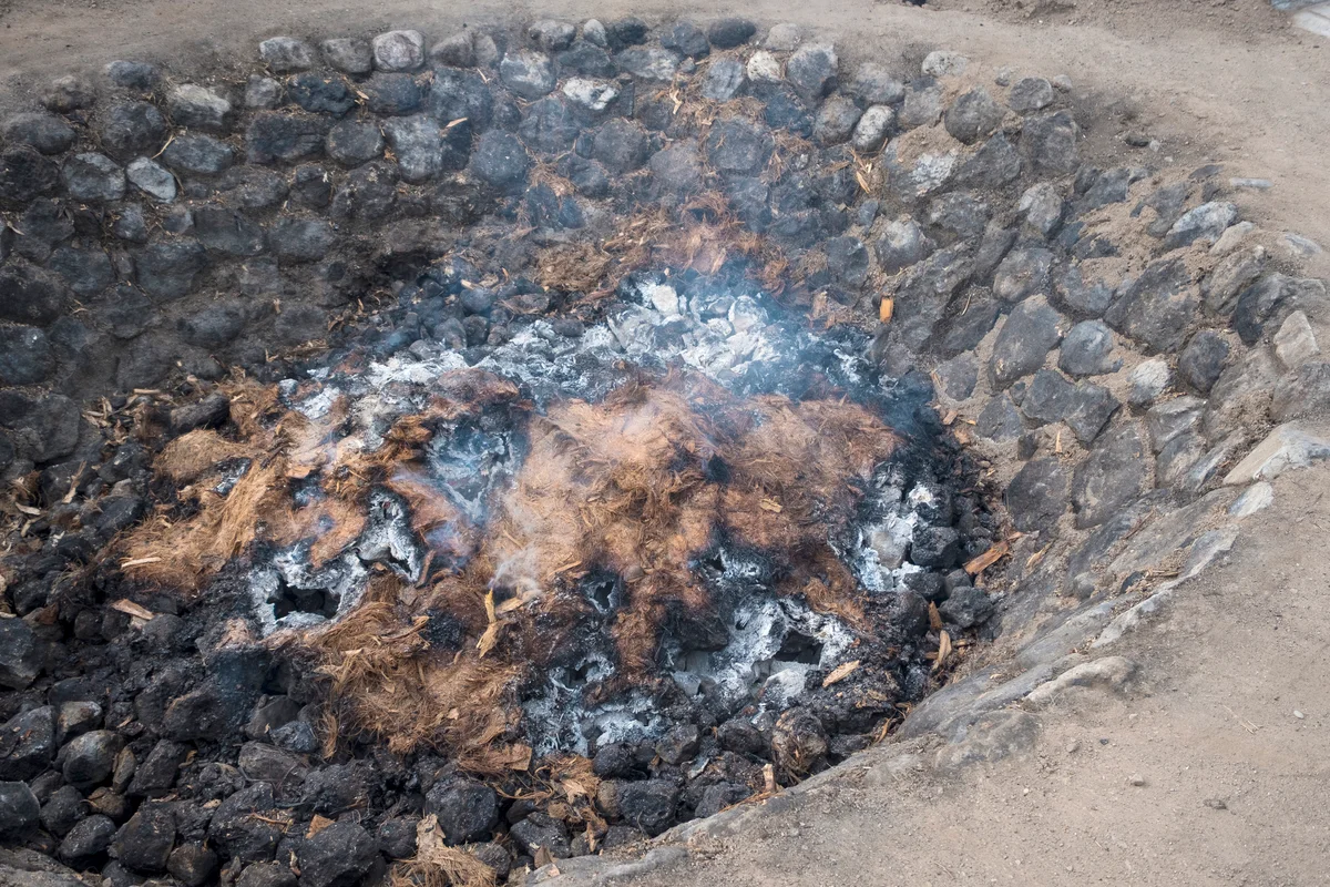 Burning of agave pineapples for the preparation of mezcal