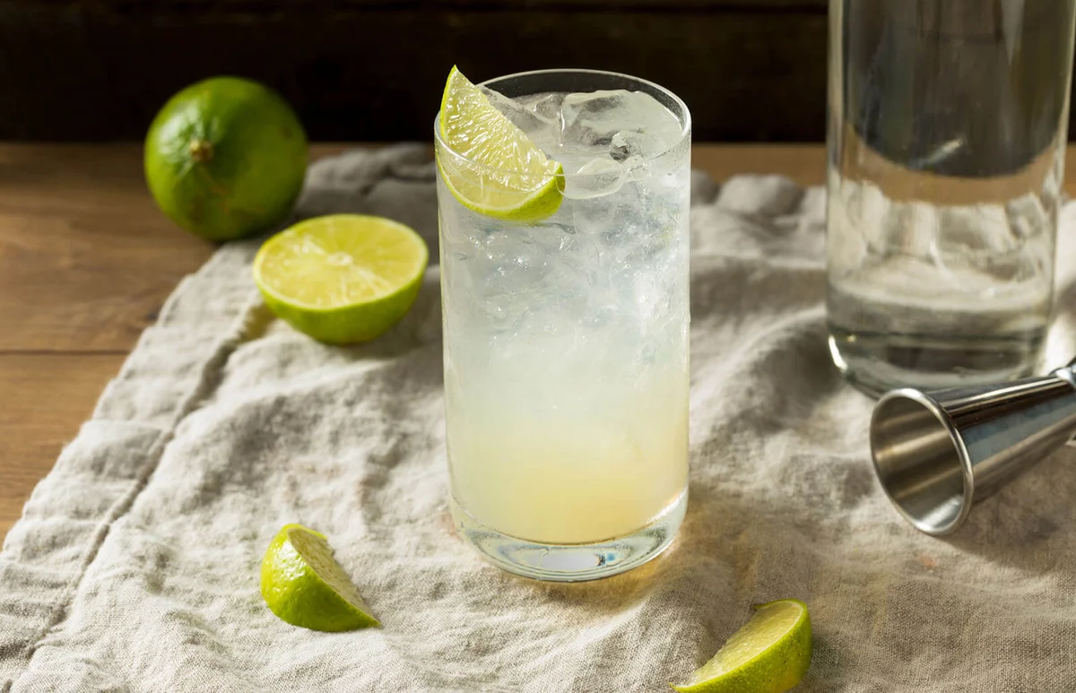 Boozy Alcoholic Lime Gin Rickey Cocktail
