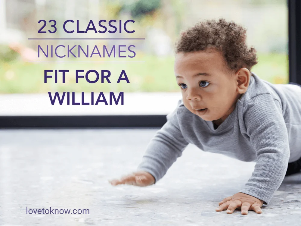 Classic Nicknames Fit for a William