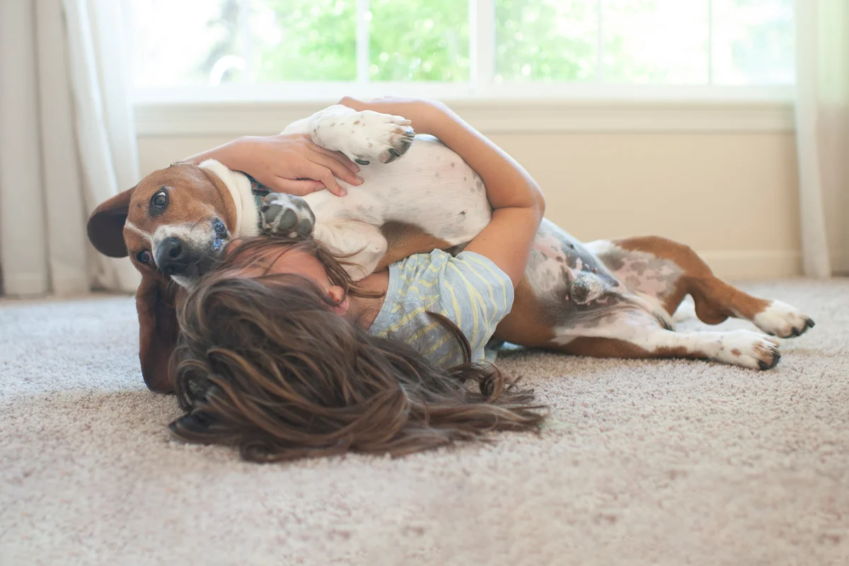 Young girl laying with her Basset Hound dog on the floor at home