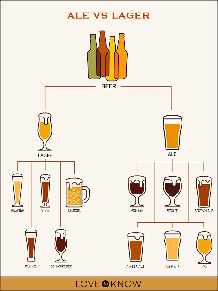 Ale and Lager Beer