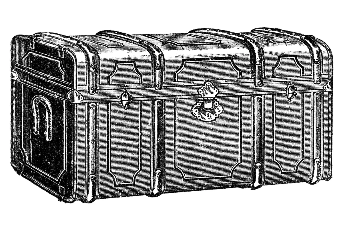 chest illustration